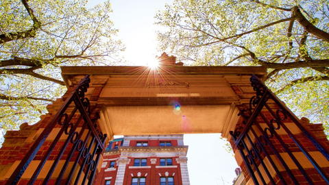 Gates in Harvard Yard.