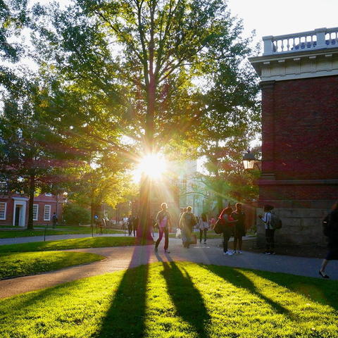 Light shining into Harvard Yard.