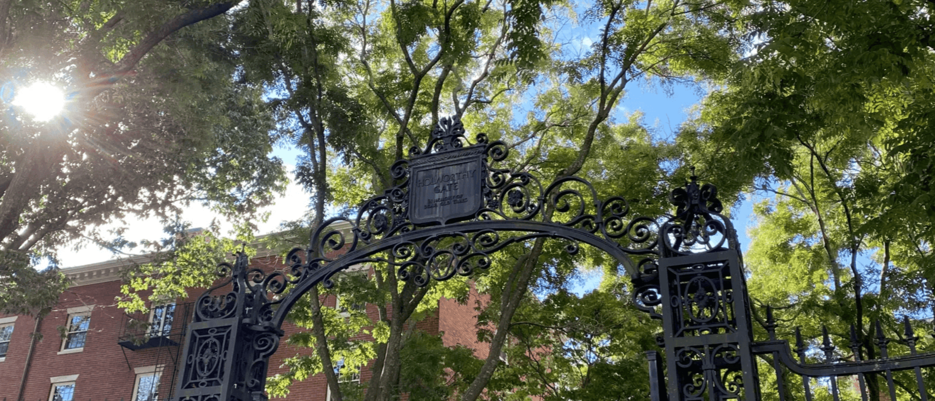 A gate to Harvard Yard under the sun.
